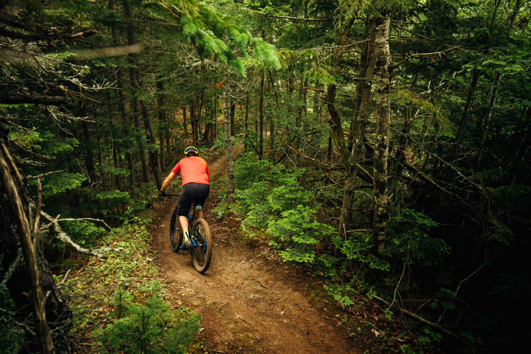 Rider on APASOA trails